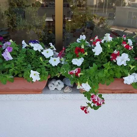 阿里雷纳度假公寓酒店 Paphos