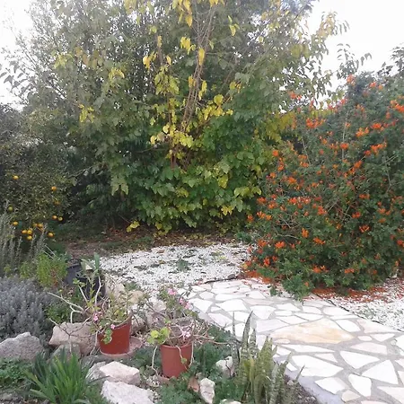 公寓 阿里雷纳度假公寓酒店