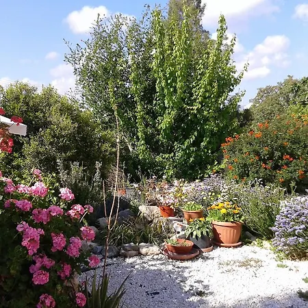 Apartmán Arilena Paphos