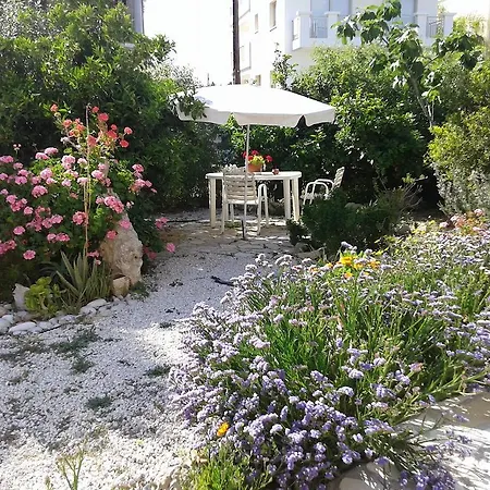 Arilena Paphos