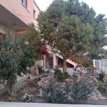 Arilena Paphos