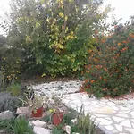 Apartman Arilena