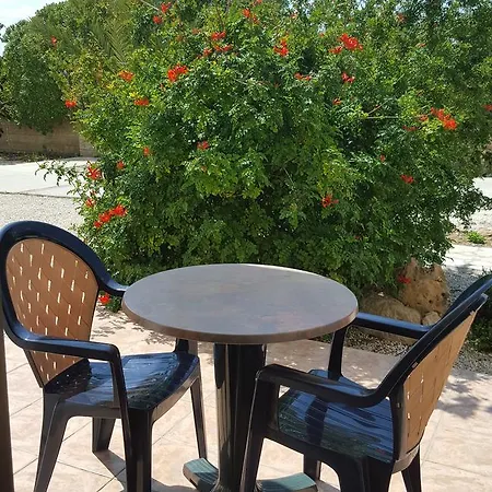 Arilena Paphos
